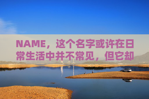 NAME，这个名字或许在日常生活中并不常见，但它却在某些领域里扮演着重要的角色。今天，让我们一起来探索这个名字背后的故事和意义