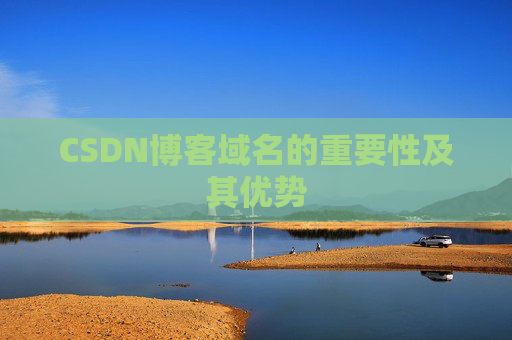 CSDN博客域名的重要性及其优势